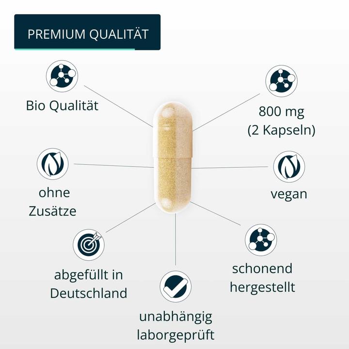 Produktbild Brandl Vitalpilz Vegan (1 Stück, Kapseln, 75 g)