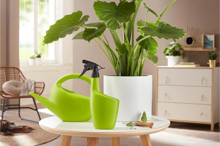 Immagine prodotto Scheurich Smilla (1.60 l)