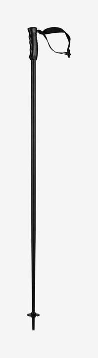 Produktbild Head Ski Pole Multi 2024 (120 cm)