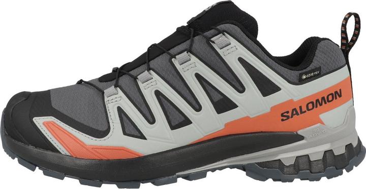 Produktbild Salomon XA Pro 3D V9 GTX (46)