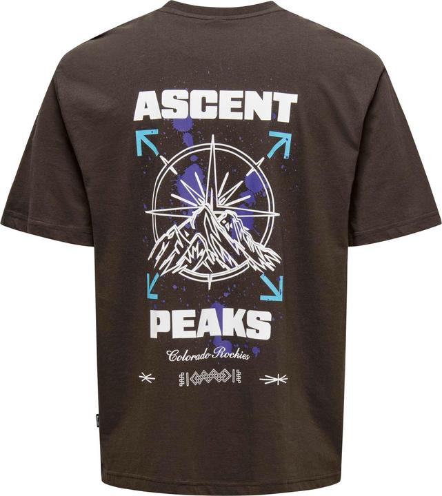 Produktbild Only & Sons Onskeane Rlx Ss Print Tee Noos (L)
