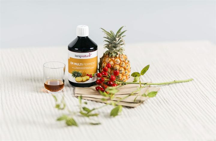 Produktbild Kingnature EM Multi Ferment (1 Stück, Flüssigkeit, 551 g)