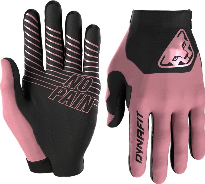 Actual product image Dynafit Ride Gloves Unisex (XL)