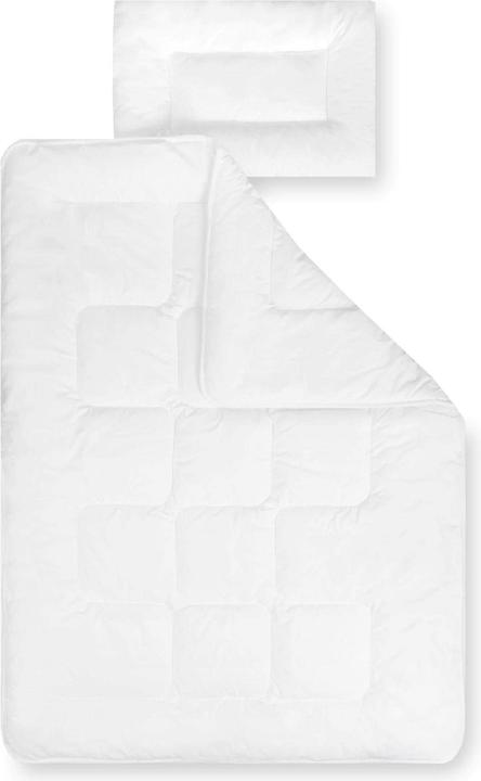 Julius Zöllner Basic