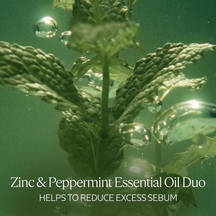 Actual product image L'Occitane Aromachologie Pure Freshness Conditioner 250 ml (250 ml)