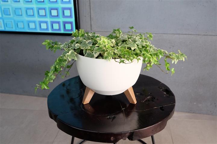 Actual product image Lamela Flowerpot Roma 882-74, plastic, Ø 47 cm, cream (47 x 26.50 cm)