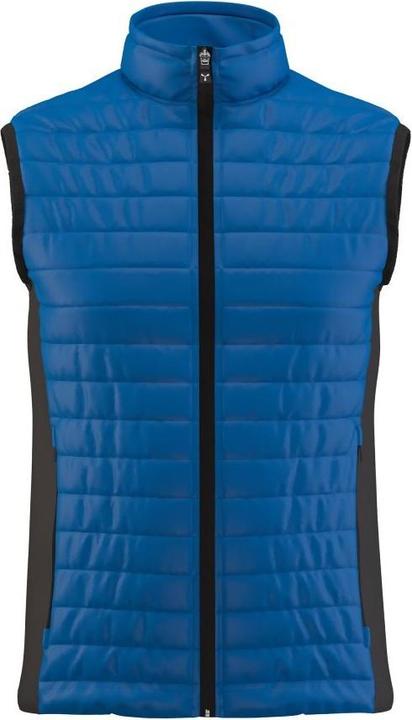 Royal Blue, Black