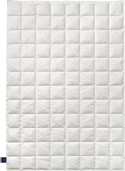 Actual product image Billerbeck Down duvet Nena 306 Superlight extra light, filling: 100% goose down (140 x 200 cm)