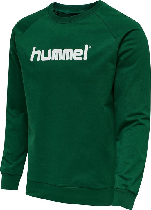 à feuilles persistantes