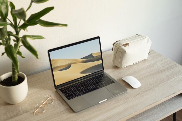 Actual product image Peak Design Tech Pouch