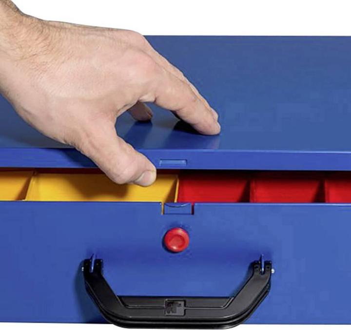 Immagine prodotto Allit caso dell'assortimento