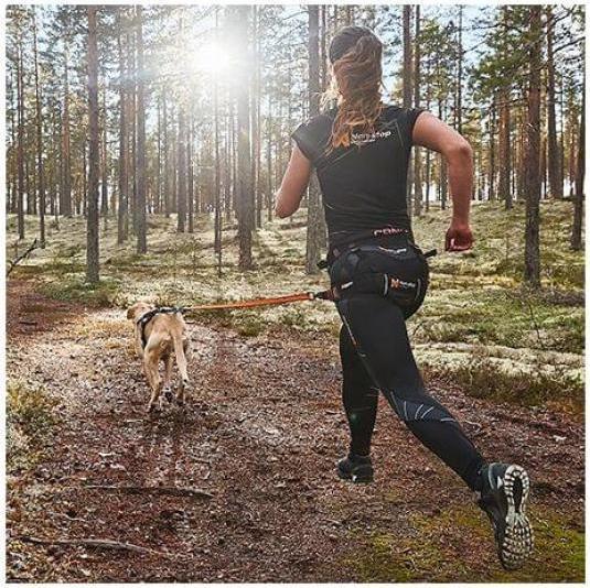 Image du produit Non-Stop Dogwear CaniX Belt S (S, Chien, Sport canin)