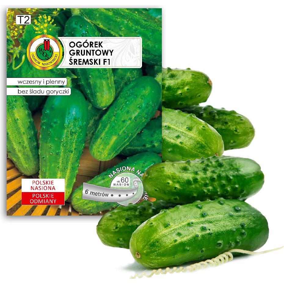 Apte, Semi, PNOS Samen auf Band Gurke Śremski F1 6m Band (Semi di verdura)