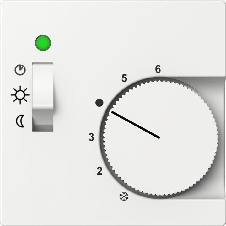 Actual product image ELSO Central plate