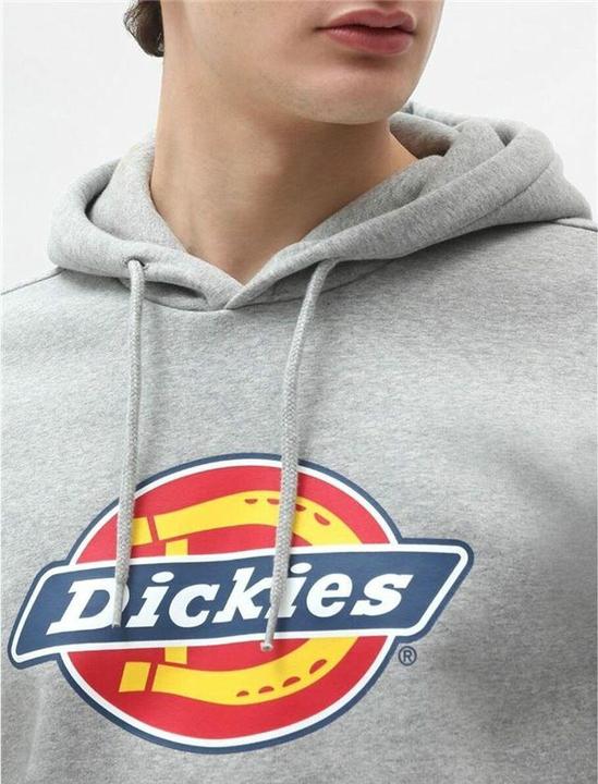 Actual product image Dickies Icon Logo Hoodie (L)