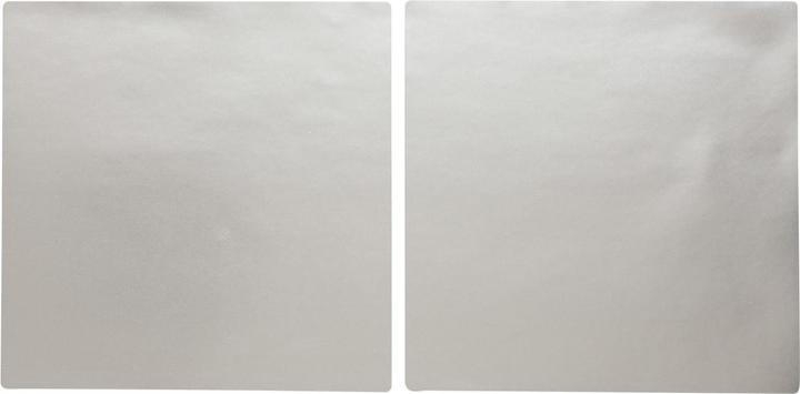 Immagine prodotto Brady B33-161-434, poliestere metallizzato, argento, lucido, 101,60 x 101,60 mm, estremamente resistente