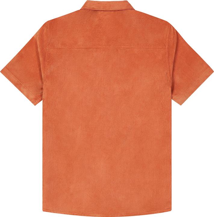 Immagine prodotto Picture Nollur (XL)