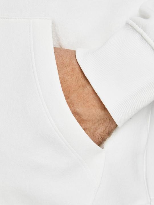 Actual product image Jack & Jones Drawstring Loopback Hoodie (M)