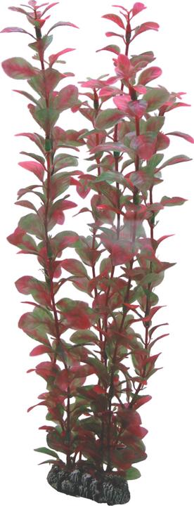 Produktbild Dohse Ludwigia, 34 cm (Dekoration, sonstige Bauten)