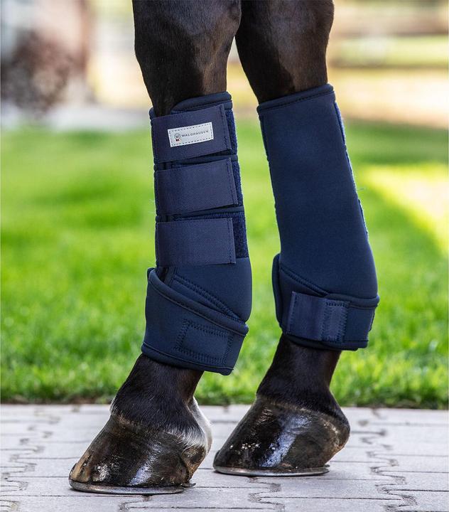 Immagine prodotto Waldhausen Protect