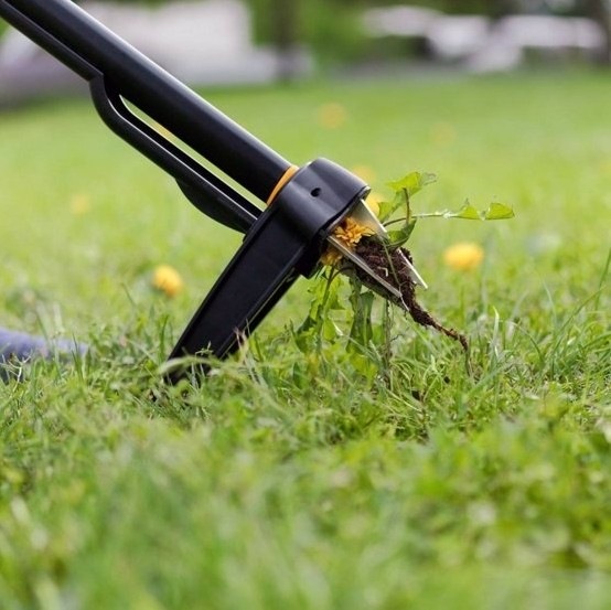 Actual product image Fiskars Xact