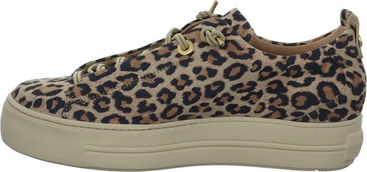 Actual product image Paul Green Sneaker (37.5)