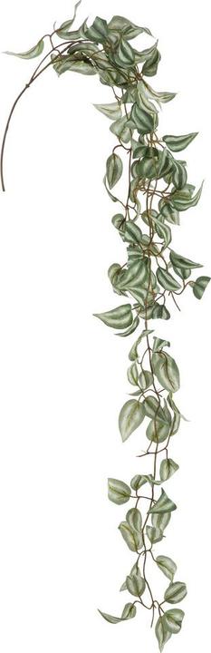 Immagine prodotto DPI Giardino (155 cm)