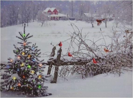 Image du produit GuGus Image (40 x 30 cm)