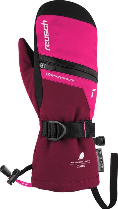 Cerise / Pink Glo
