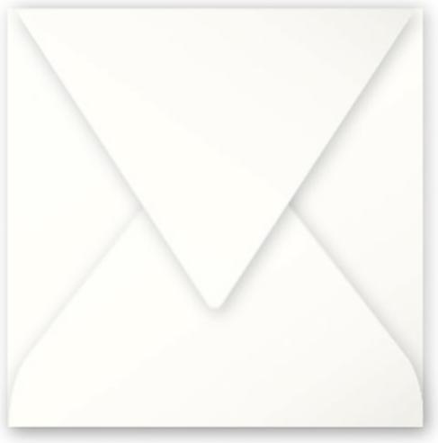 Immagine prodotto Pollen Buste di polline (120 x 120 mm, 20 x)