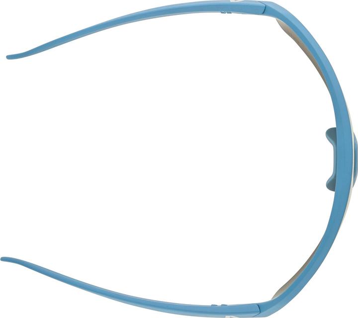 Actual product image Alpina Sports Turbo HR Q-Lite (Smoke-grey matt, Gold)