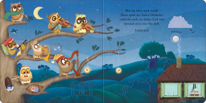 Produktbild Einschlafen mit dem Eulen-Orchester (Deutsch, Sam Taplin, 2024)