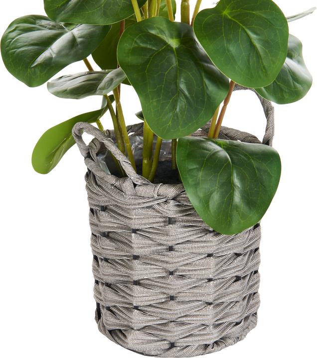 Immagine prodotto Beliani Kibeti (55 cm)