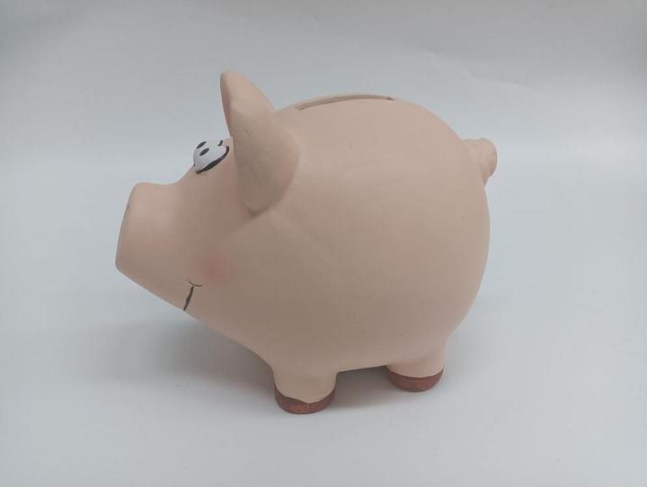 Roost Cassa di risparmio Pig (18,5 x 14,5 x 15,5 cm)