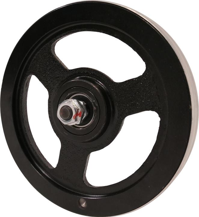 Actual product image Domyos Schwungrad