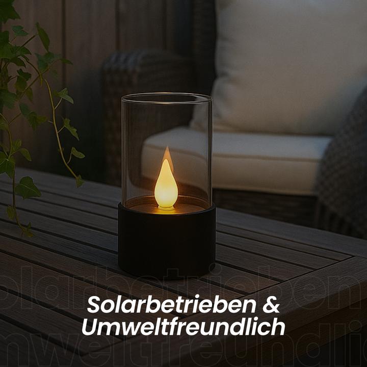 Image du produit Star Trading Puloun (1x)