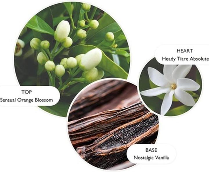 Produktbild Molton Brown Flora Luminare Bath & Shower Gel (300 ml)