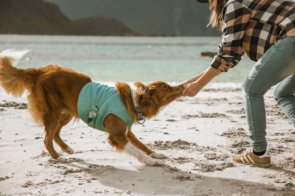 Produktbild Hurtta Cooling Wrap aquamarine (L, Hundemantel)