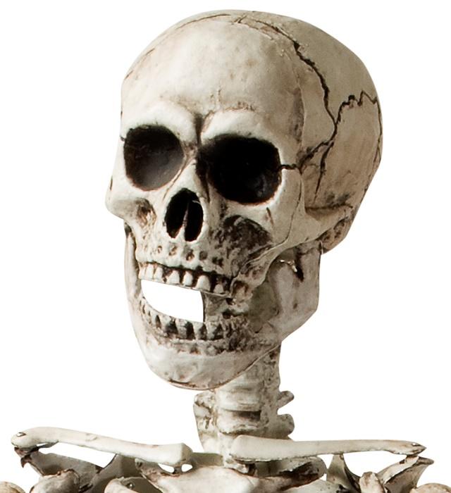 Actual product image Widmann Skeleton life size (1 pcs.)