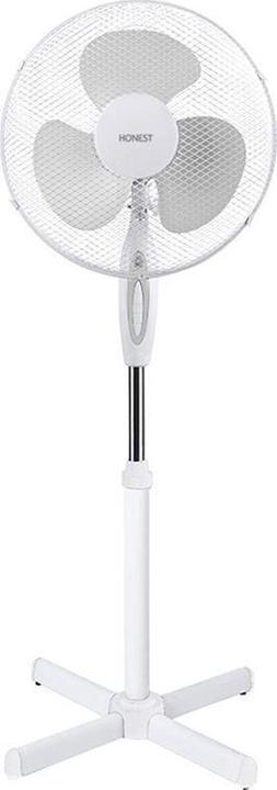 Produktbild Honest Ein grosser Fan von VP 2000