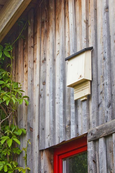Actual product image Neudorff Bat roost