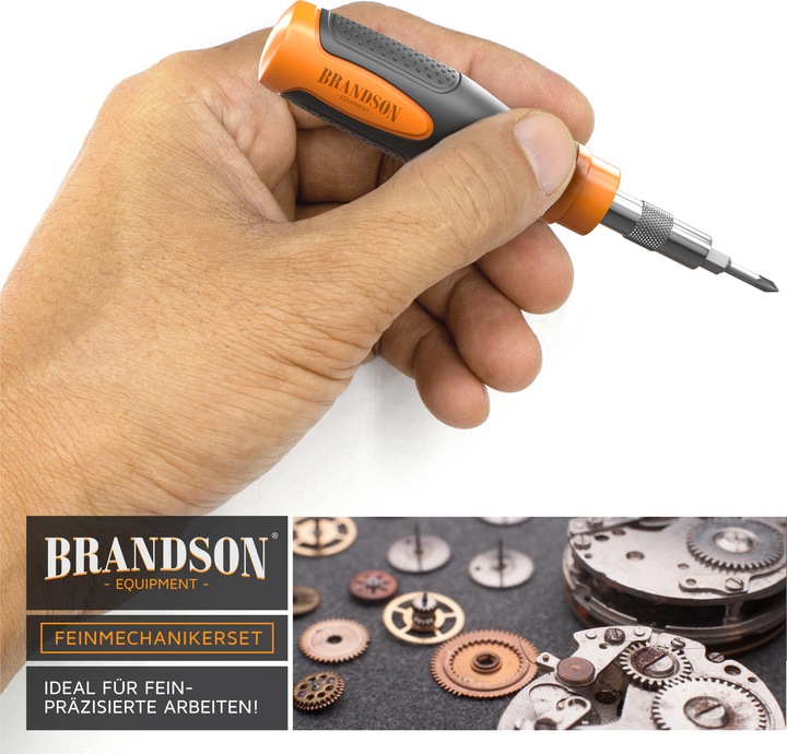 Actual product image Brandson Screwdriver set 21-piece, mini bits, slotted, Phillips, hexagon socket, Torx, precision mechanics (Pozidriv cross recess (PZ), Pin-torx, Phillipps cross recess (PH), Port)