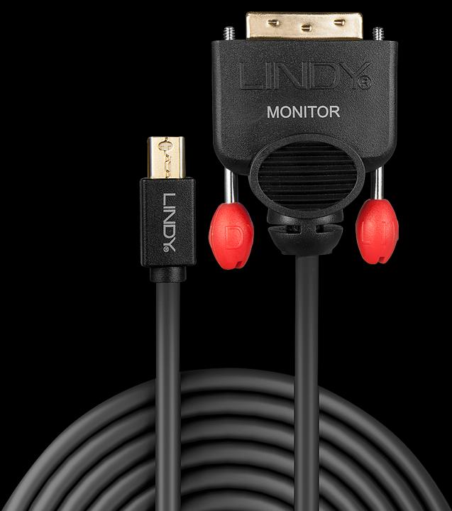 Produktbild Lindy Mini DisplayPort — DVI (3 m, DVI, DisplayPort, 1.2)