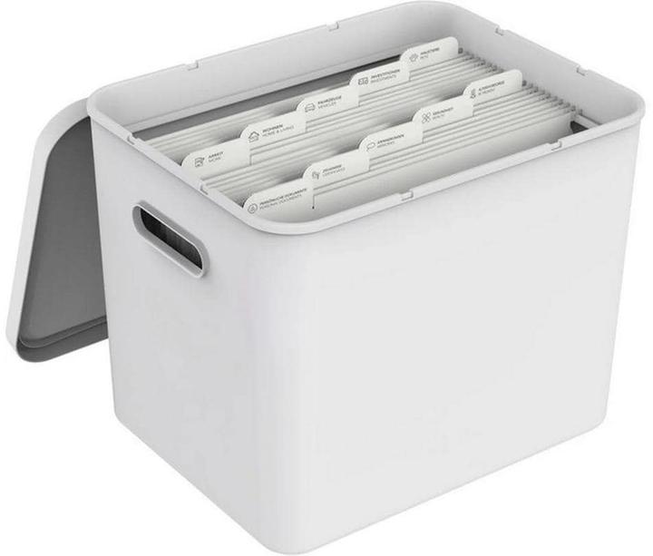 Actual product image Rotho Suspension files (A4, 10x)