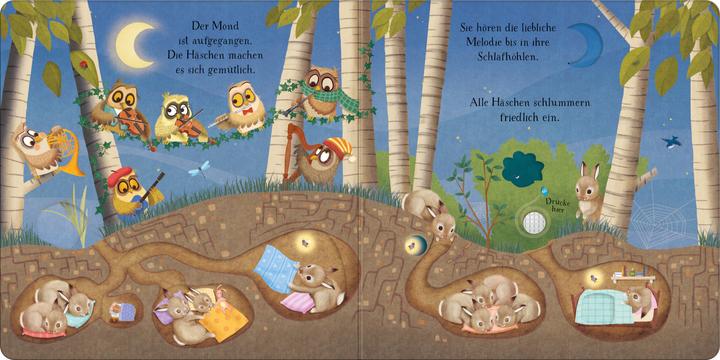 Produktbild Einschlafen mit dem Eulen-Orchester (Deutsch, Sam Taplin, 2024)