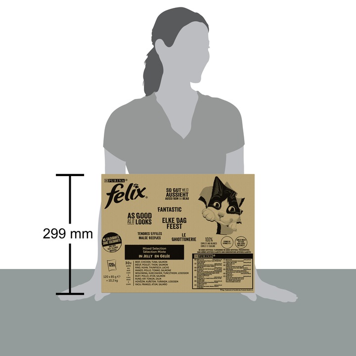 Produktbild Felix Agail (Adult, 120 Stk., 10200 g)
