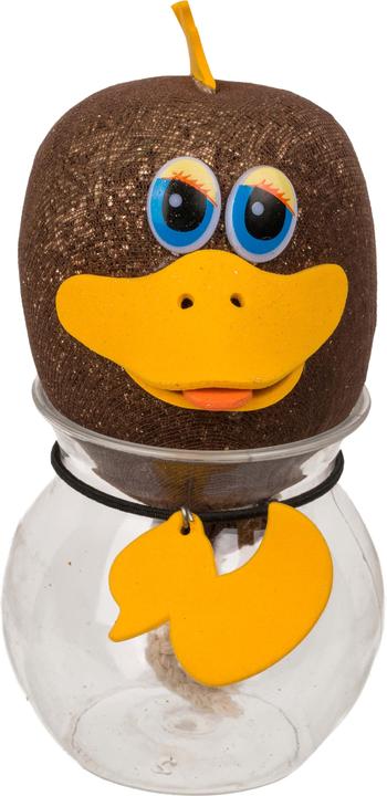 Actual product image Out of the blue Grass Head in Container Duck