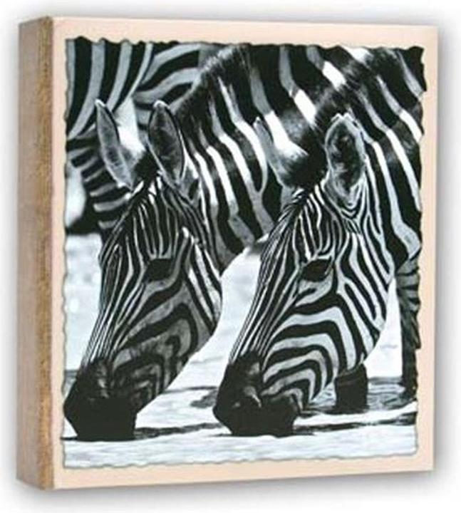Immagine prodotto ZEP WL57100 Album Slip-in 100 foto 13x19 cm - 12 album