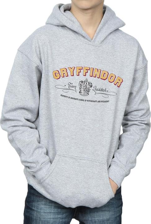Actual product image Boys Gryffindor Team Quidditch Hoodie (152, 158)