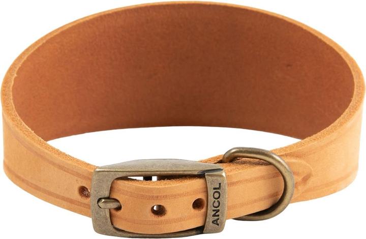 Immagine prodotto Ancol - Collier per chiens TIMBERWOLF HOUND (30, 31, 32, 33, 34, Cane, Generale)